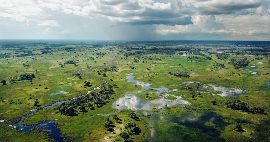 Botswana Aerial View Petrichor Films