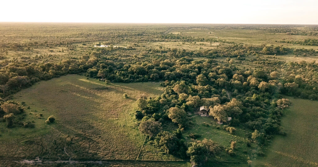 Botswana Aerial View Petrichor Films