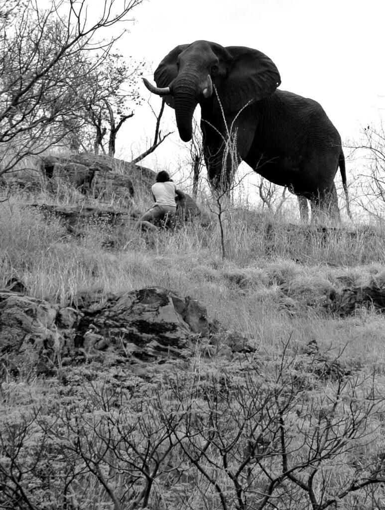 Alistair Wilmot Petrichor Films Botswana Film Fixer Wildlife Filmmaking